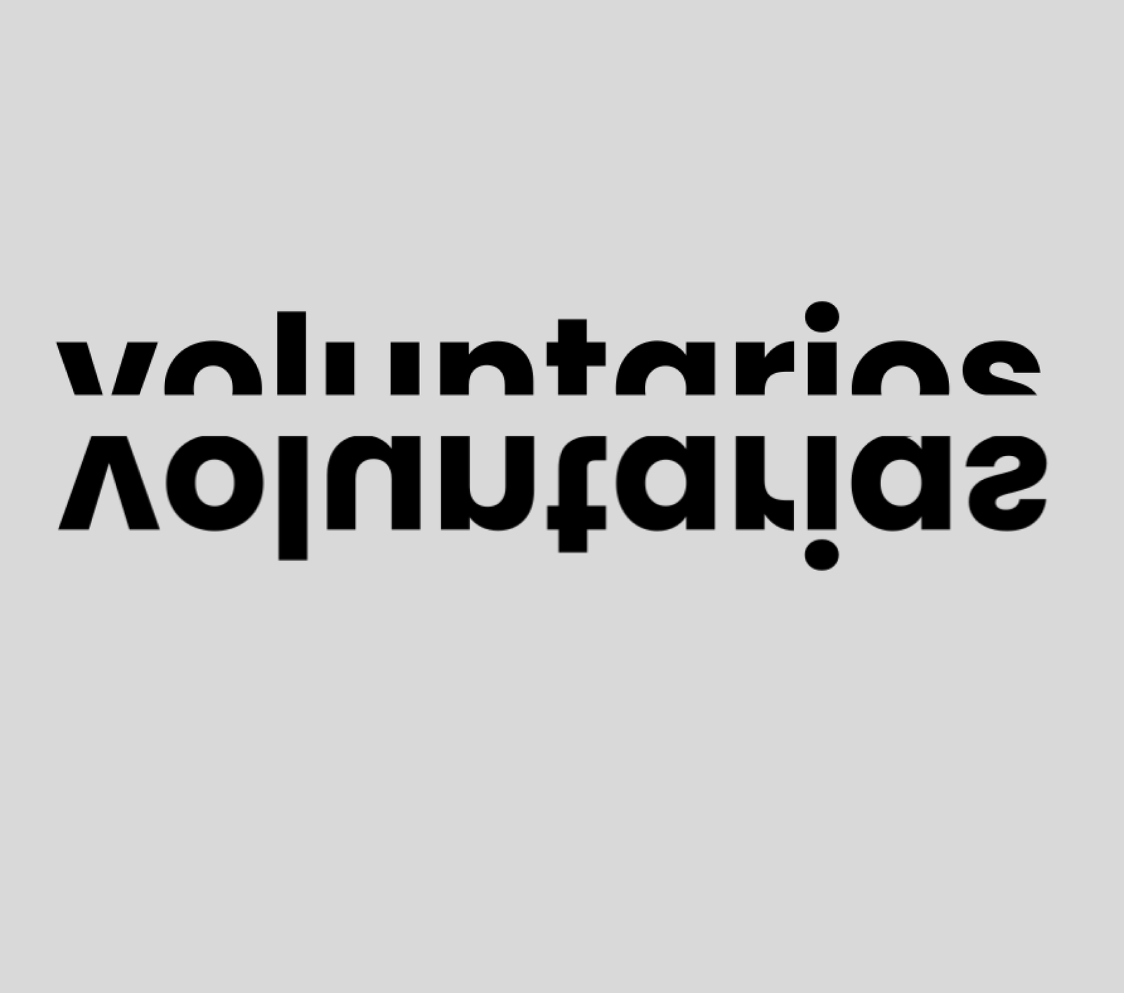 Voluntariado