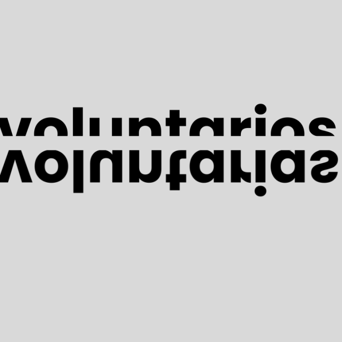 ¡Lanzamos el Plan de Voluntariado!